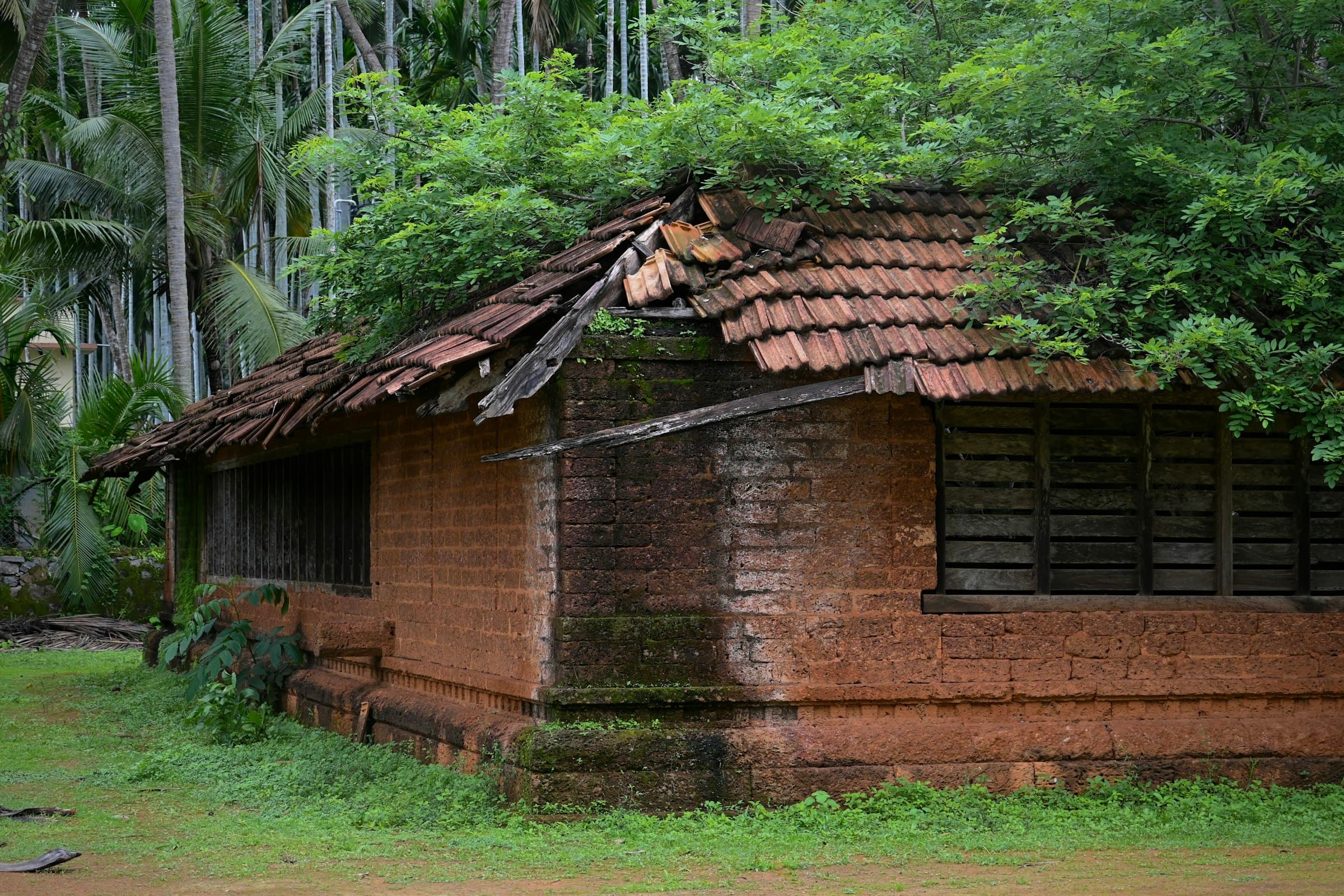 An old laterite house with a red tiled roof among trees